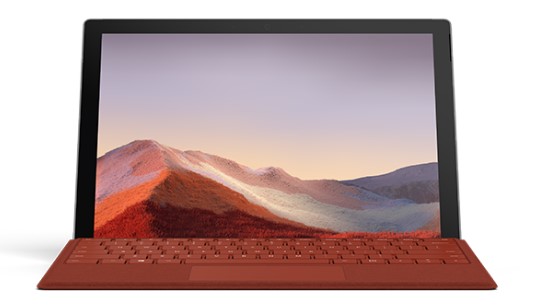 乐亭清洁和维护 Surface